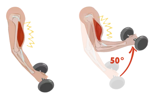 Treino de Musculação